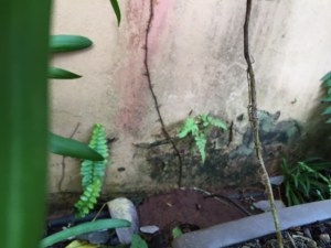 IMG_4959