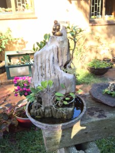 IMG_5028